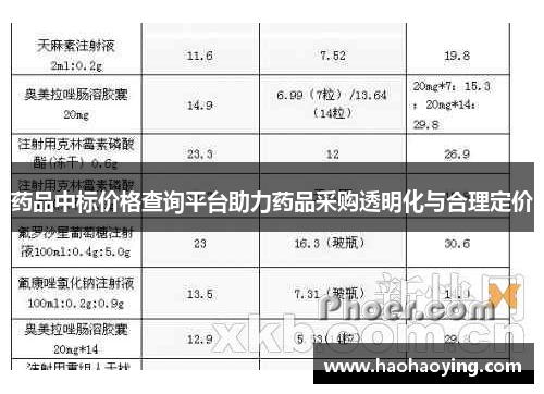 药品中标价格查询平台助力药品采购透明化与合理定价