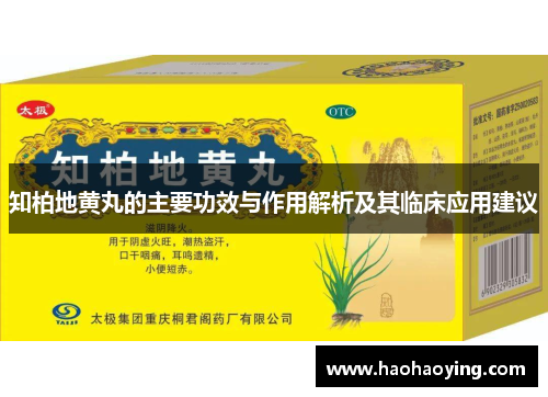知柏地黄丸的主要功效与作用解析及其临床应用建议